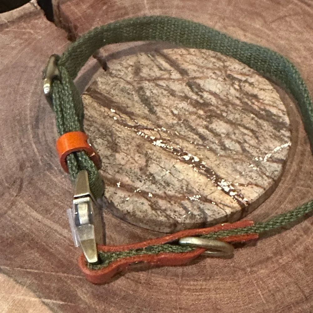 Ajustable Custom Dog Collar with Quick Release Buckle